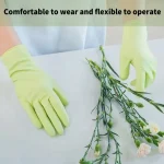Grass Green Nitrile Disposable Gloves (Latex-Free, No Dust) S/M/L 50/100 PCS