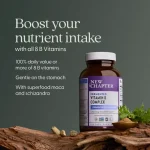New Chapter, Fermentierter Vitamin-B-Komplex, 60 vegane Tabletten