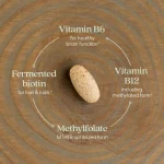 New Chapter, Fermentierter Vitamin-B-Komplex, 60 vegane Tabletten